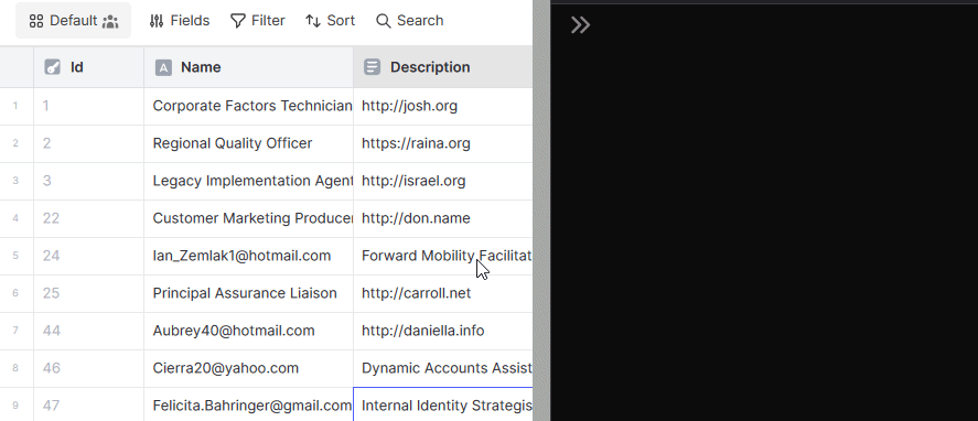 Demonstration of copying the data of multiple records with name and description columns and pasting it to the developer console.