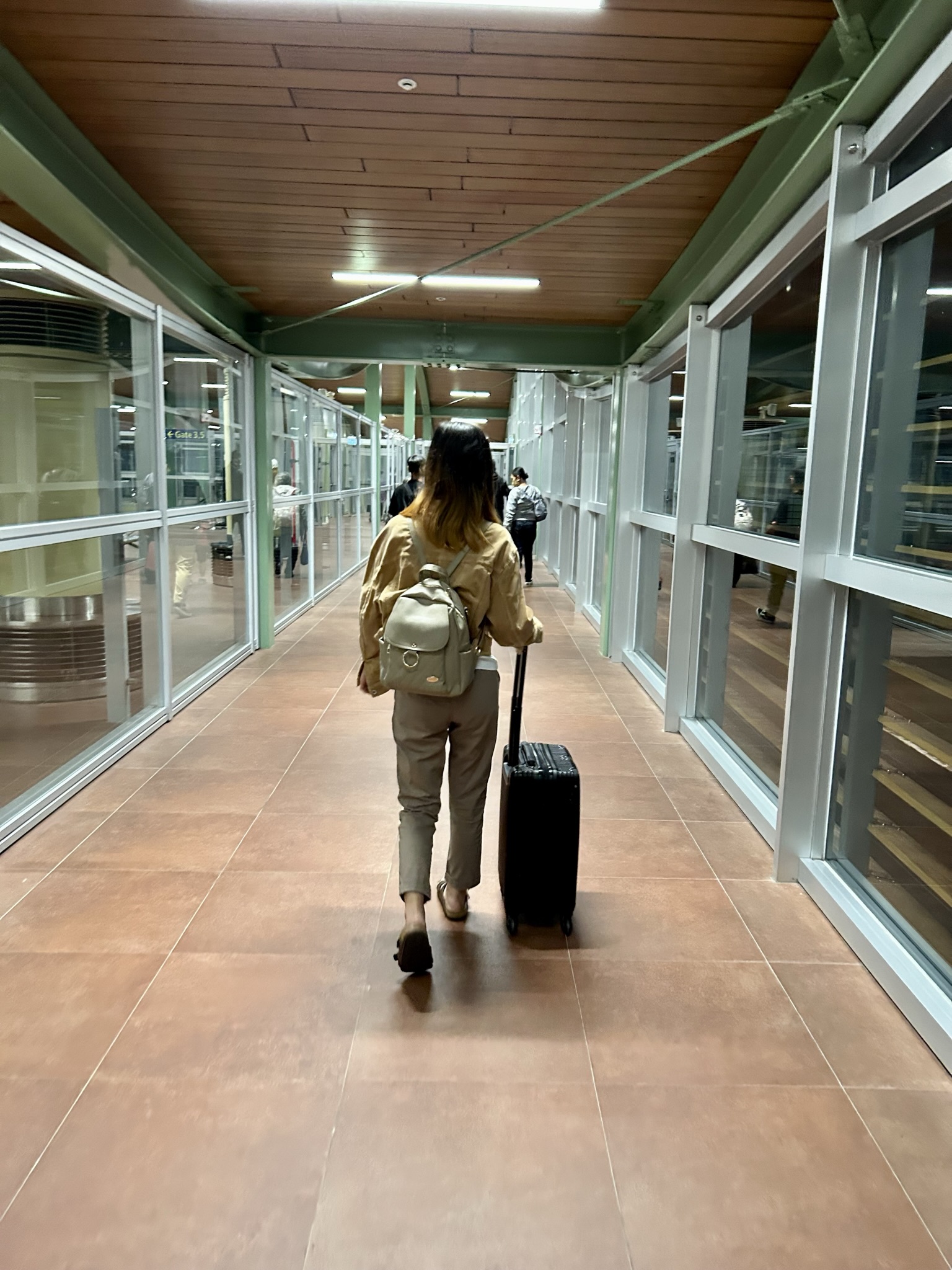 Woman with black hair with brown tips wearing a brown jacket and pants holding a black luggage.