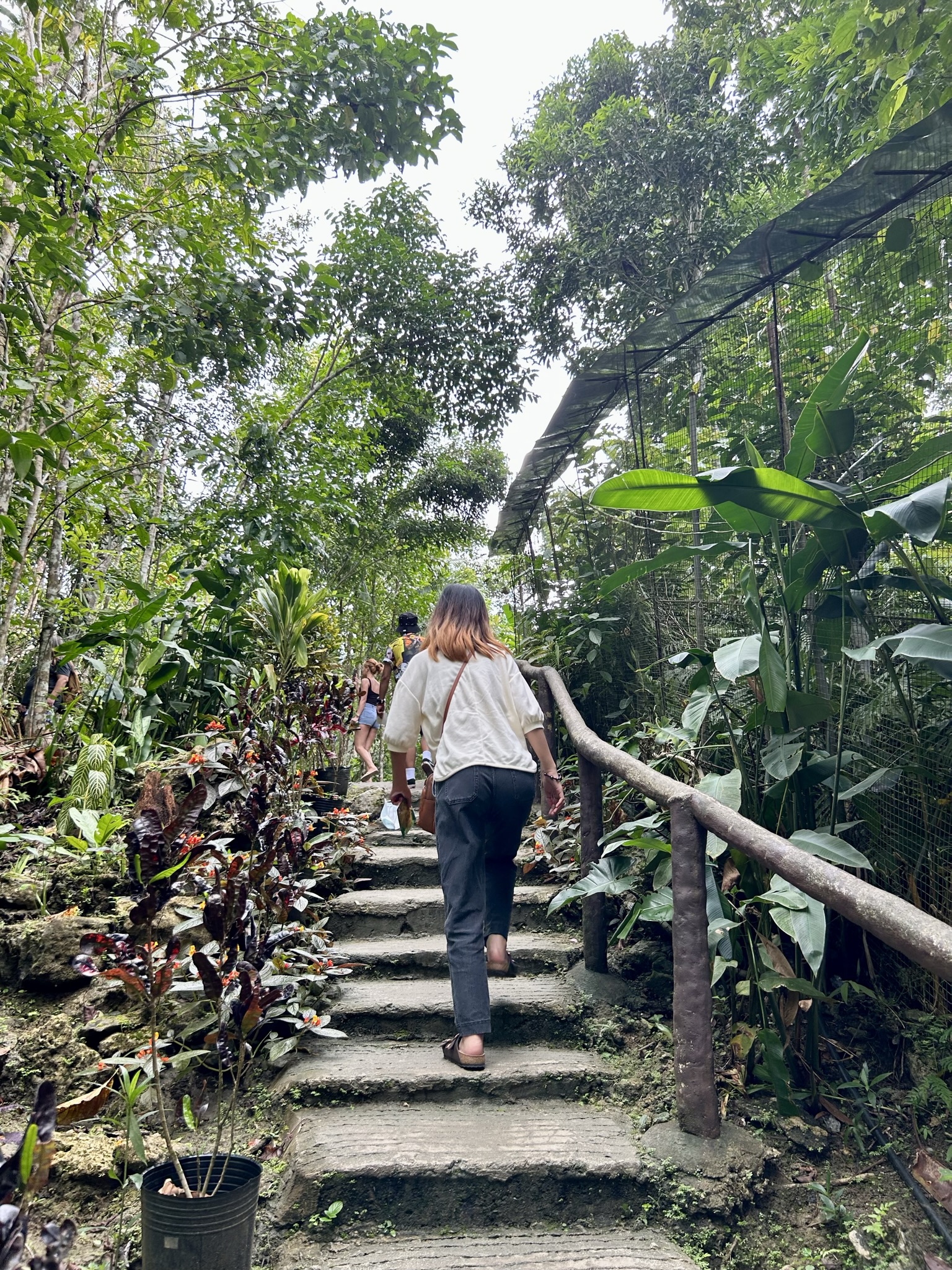 Woman walking up the stairs.