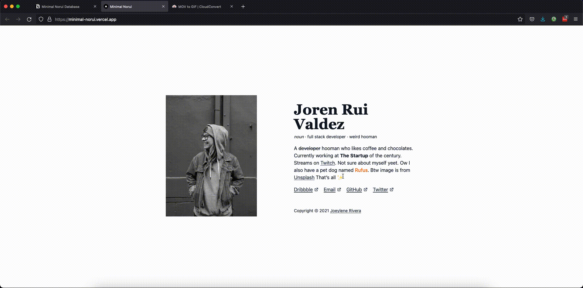 A video showing a minimal norui template site which the content changes when the notion database specifically the description changes.